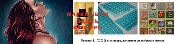 гидропоника Арсеньев